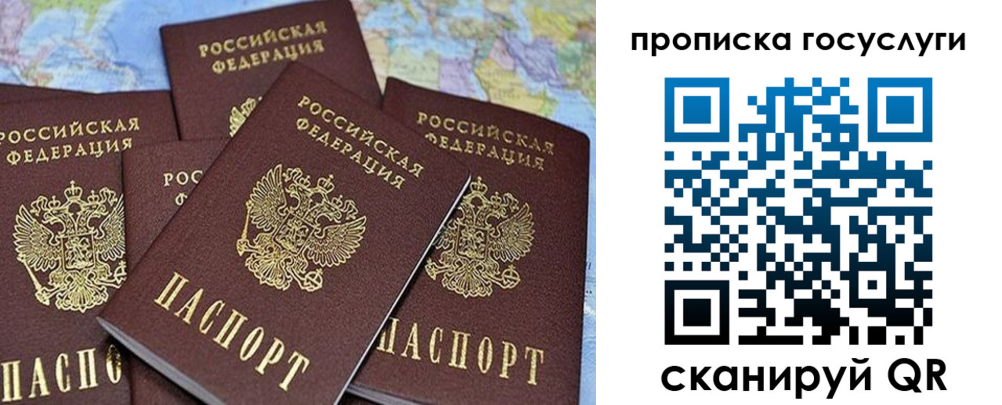 прописка 2025 в Заринске